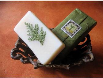 Clean and Classy: Gift Set of 6 All-Natural Olive Oil Herbal Soaps from Rosner Soaps