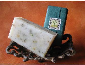 Clean and Classy: Gift Set of 6 All-Natural Olive Oil Herbal Soaps from Rosner Soaps