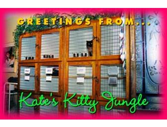 Feline Getaway: One Week Cat Boarding at Kate's Kitty Jungle in Edison, NJ