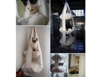 The Cat's Trapeze is the Cat's Meow!