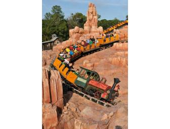You're Going to Disney World! Four One-Day Park Hopper Passes