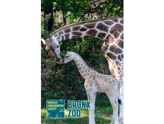 If I Could Talk To The Animals: Customized Tour for 6 at the Bronx Zoo