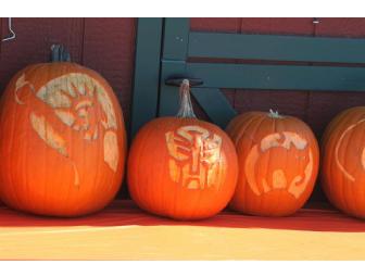 Celebrate the Season: 4 passes to Shady Brook Farm's FallFest/PumpkinFest, Yardley, PA