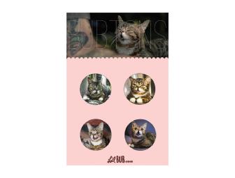 Lil Bub Happy Basket: Tote Bag, Button Set, Sticker Set, Postcards & T-Shirt