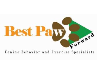 Best Paw Forward: $100 Gift Certificate for Dog Training in Horsham, PA, Plus Toy & Treats