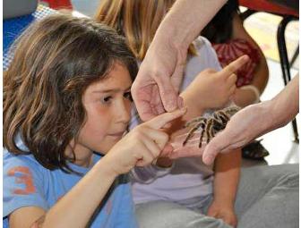 Bug Out! Admission for 5 to Insectropolis in Toms River, NJ