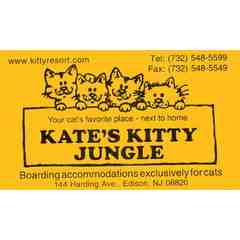 Kate's Kitty Jungle