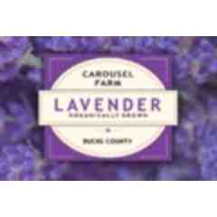 Carousel Farm Lavender