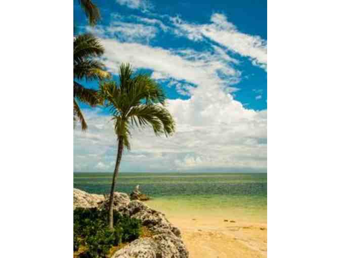 LIVE AUCTION LOT: A Week in Florida Keys