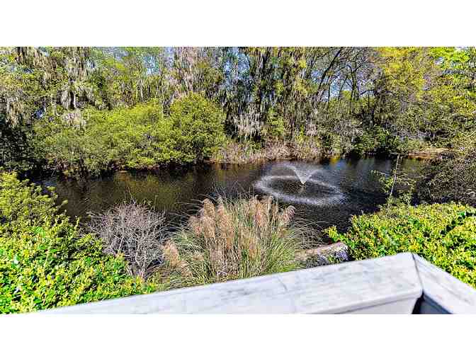 A Week in Hilton Head