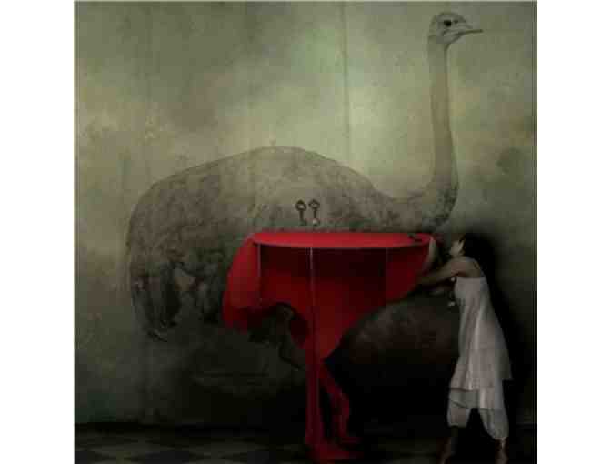 Diva Ostrich Wall Console from iBride and Switch Modern