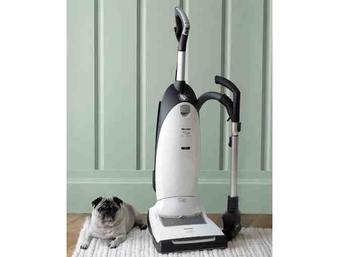 Miele Dynamic U1 Upright Vacuum - Cat & Dog