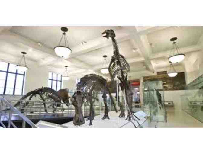 Ten SuperSaver Tickets to the American Museum of Natural History