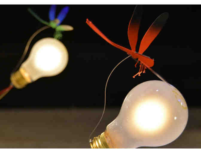 $500 Gift Card for SwitchModern.com