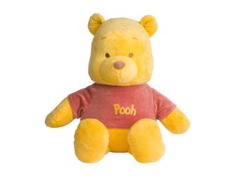 Large Plush Winnie the Pooh plus $25 giftcard from giggle