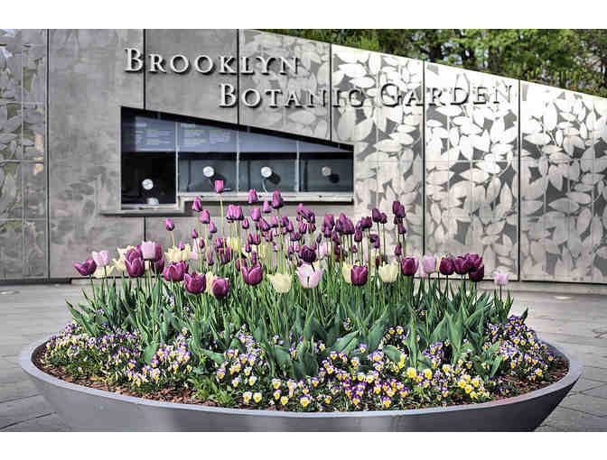 Frequent Family Visitor Pass to Brooklyn Botanical Garden