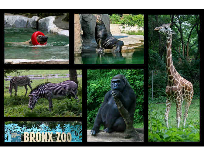 Four Tix to the Bronx Zoo
