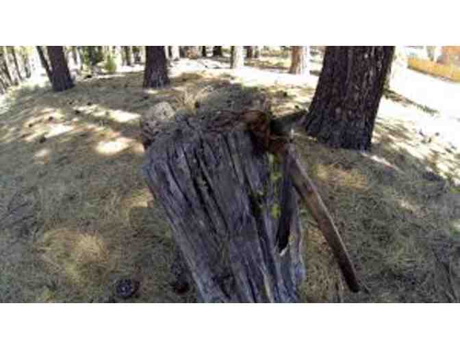 Down Jacket from Tomahawk International- Women's