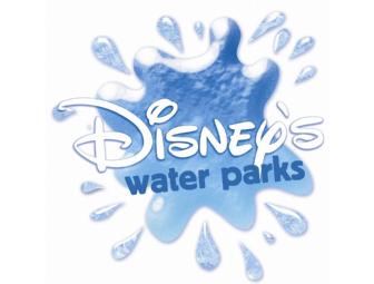 Disney Water Park Package