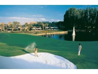 18-hole Round of Golf for Four at Saddlebrook Resort