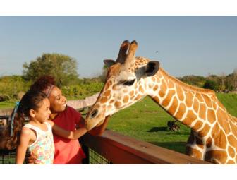 Busch Gardens Endangered Species Safari Package