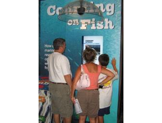 Pier Aquarium - Family of Four Membership