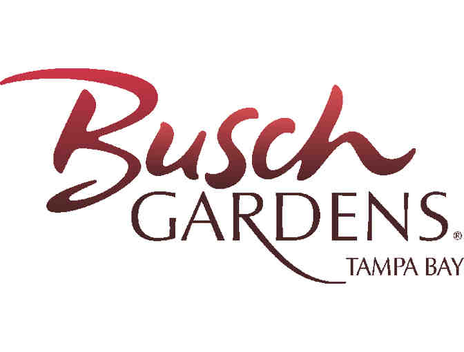 Busch Gardens Tampa Bay Family Package & Gift Basket
