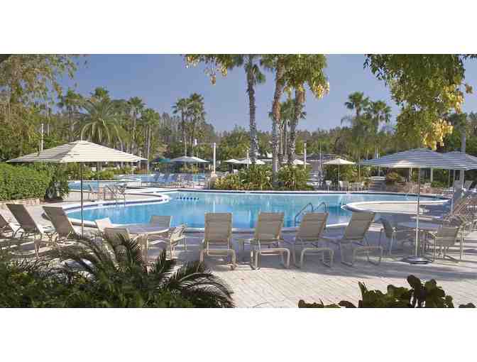 Saddlebrook Resort Golf Getaway Package