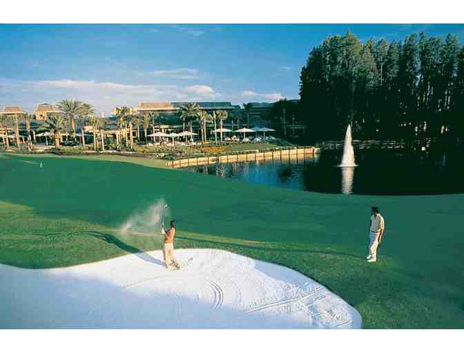 Saddlebrook Resort Golf Getaway Package