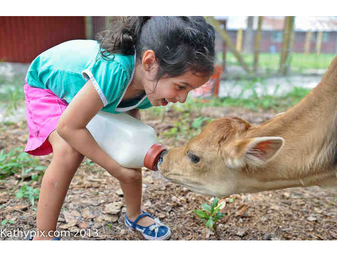 Old McMickys Farm Tickets
