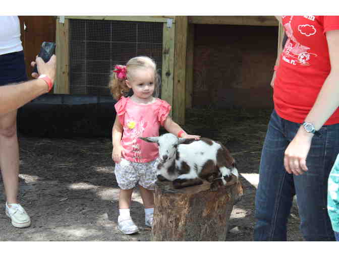 Old McMickys Farm Tickets