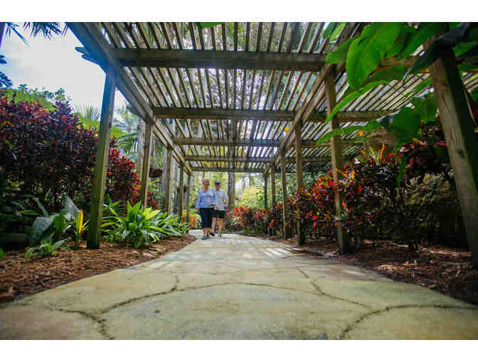 Sunken Gardens Family Four-Pack