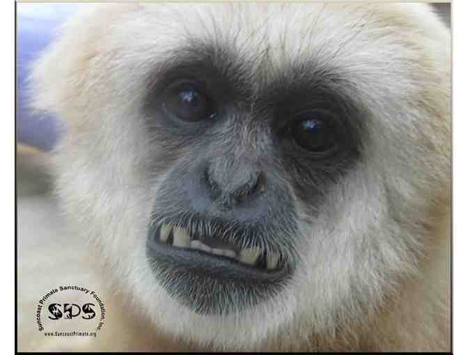 Suncoast Primate Sanctuary tickets