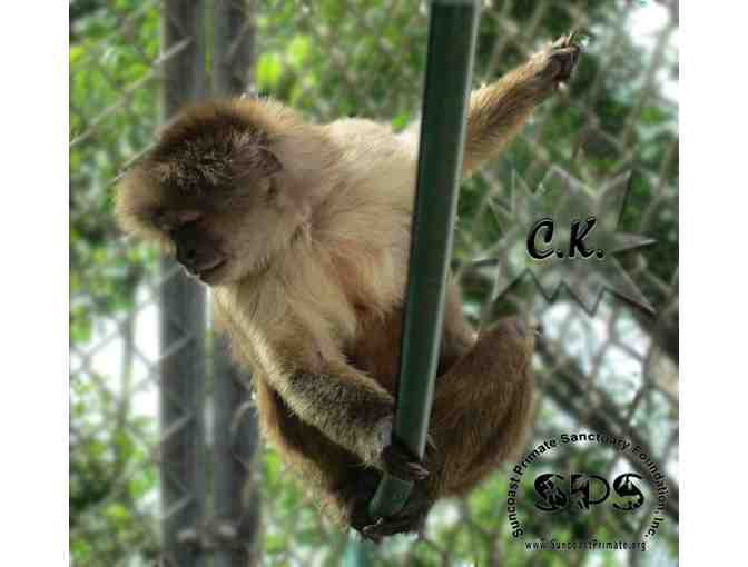Suncoast Primate Sanctuary tickets