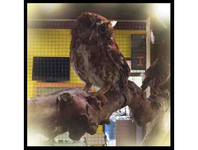 Calusa Nature Center & Planetarium Tickets