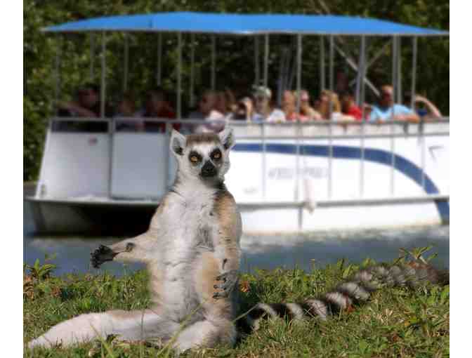 Naples Zoo at Caribbean Gardens Tickets