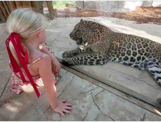 Naples Zoo at Caribbean Gardens Tickets