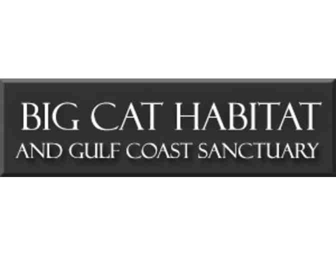 Big Cat Habitat and Gulf Coast Sanctuary Gift Certificate