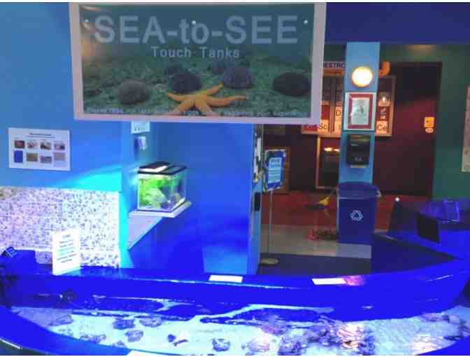 Imaginarium Family Pack