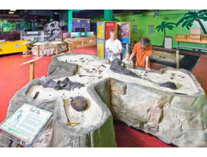 Imaginarium Family Pack