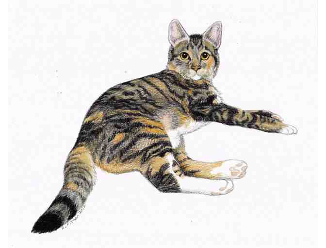 Original Pet Portrait