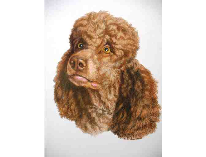 Original Pet Portrait
