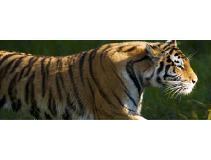 Wild Adventures Theme Park Tickets