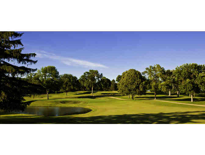 Edina Country Club - Golf for four