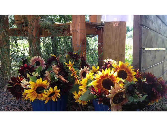 FLOWERS! Dharma's Garden CSA Share