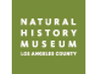 Museum Fun for the Family