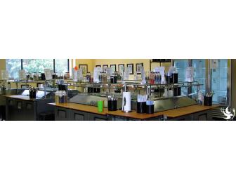 Dream Dinners Taste Party!