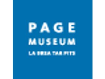 Natural History or Page Museum - It's Your Choice!