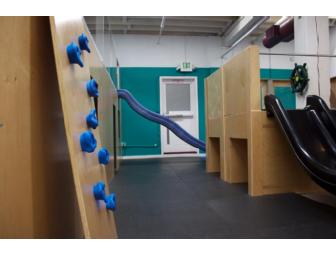 Annual Family Membership to Recess Urban Recreation