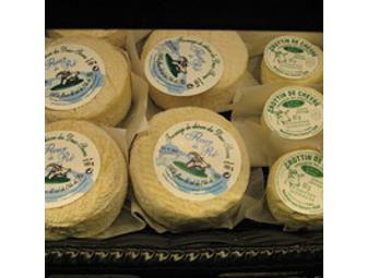 Host a Yogurt and Kefir Class